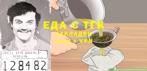 индика Богородск