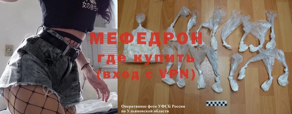 индика Богородск