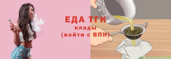 индика Богородск
