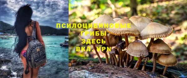 соль курить ск Богданович