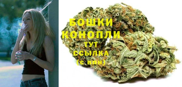 прущая мука Богородицк