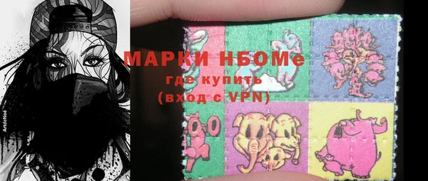 индика Богородск