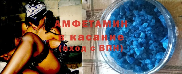 индика Богородск