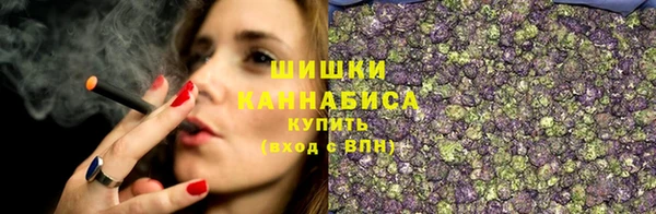 индика Богородск