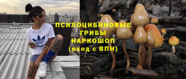 индика Богородск