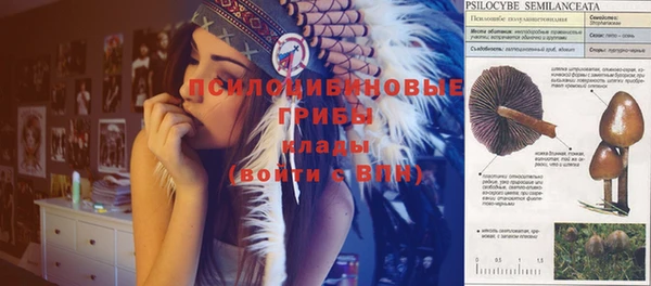 индика Богородск
