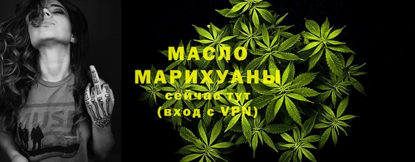 индика Богородск