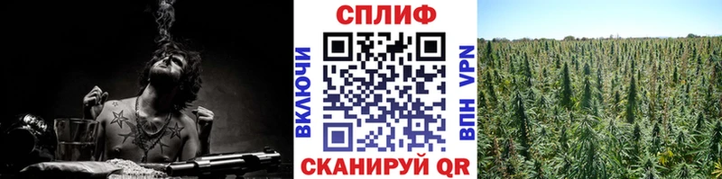 Канабис SATIVA & INDICA  Севск 